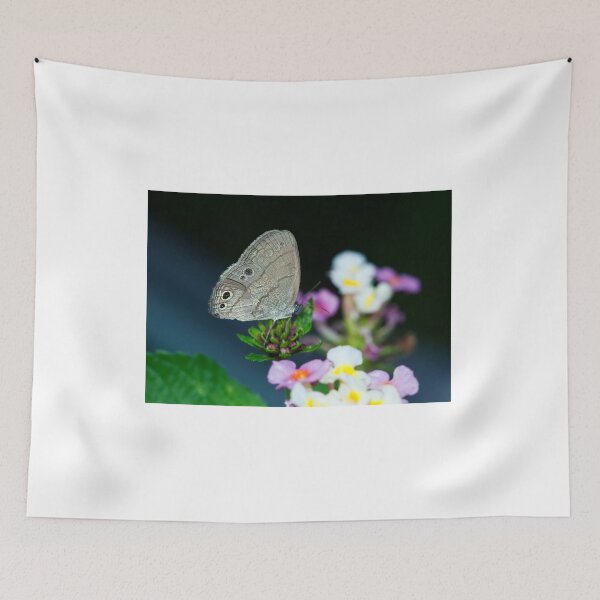Item preview, Little Satyr Butterfly designed and sold by Brenda Burnett.