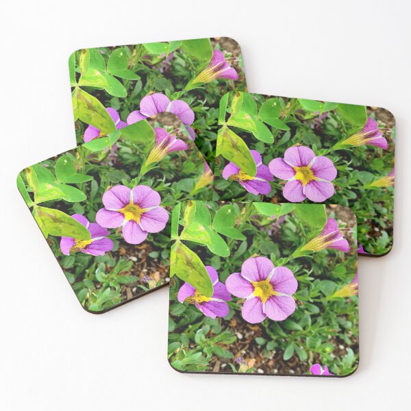 Item preview, Monterey Floral Study 11  designed and sold by Robert Meyers-Lussier.