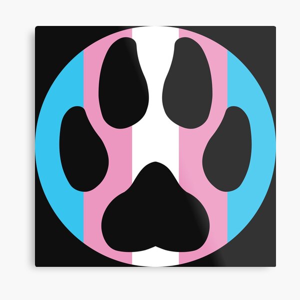 Paw In A Circle Pride Trans Metal Print By Storm Fox Art Redbubble