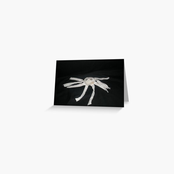 white spider Greeting Card