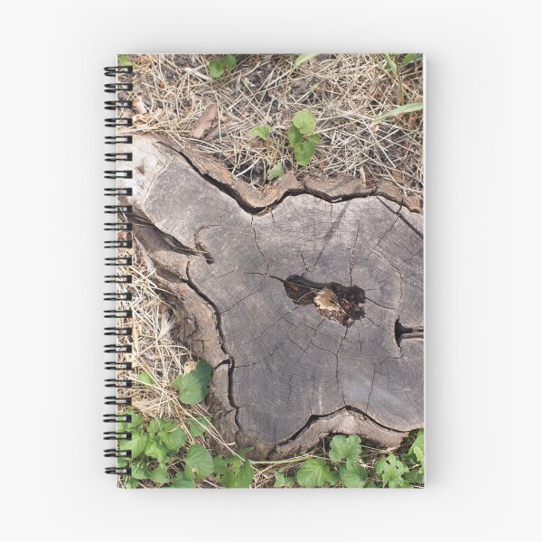 Item preview, Overhead view of an old stump of cut tree designed and sold by vladromensky.