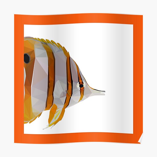 3461 COPPERBAND BUTTERFLY FISH Animal Poster Poster Print Art A1 A2 A3 A4 