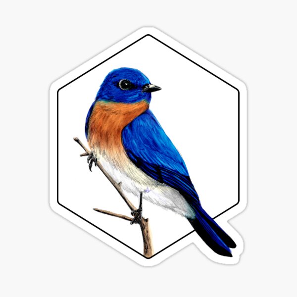 Item preview, Eastern bluebird  designed and sold by Rebekah Lauzier.