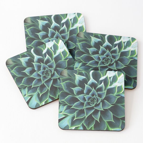 Item preview, Succulent designed and sold by UrbanEpiphany.