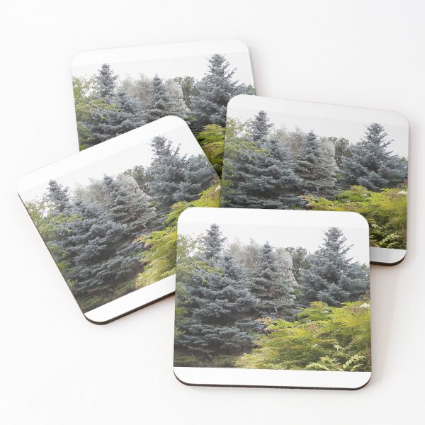 Item preview, Blue Spruce Trees designed and sold by LadyRachelJ.