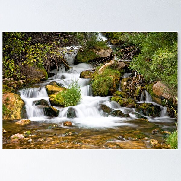 Item preview, Big Spring on Sheep Creek, Utah designed and sold by Kim Barton.