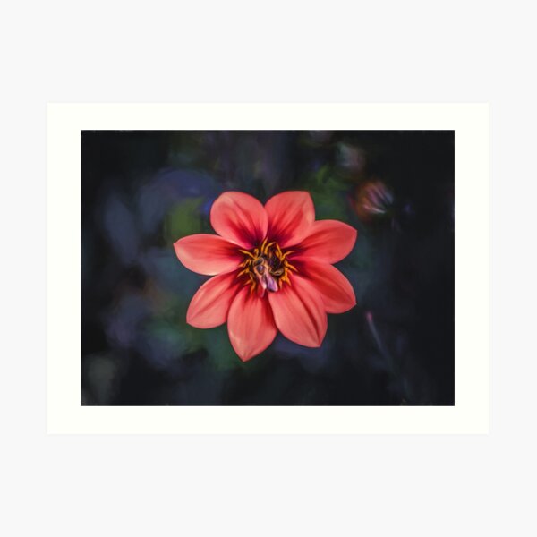 Red Dahlia (digital painting) Art Print