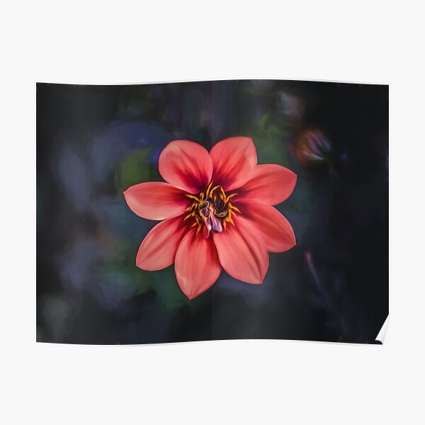 Red Dahlia (digital painting) Poster