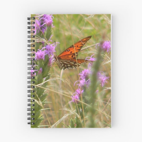 Artikelvorschau, August Butterfly - Golf Fritillary entworfen und verkauft von Navigator.