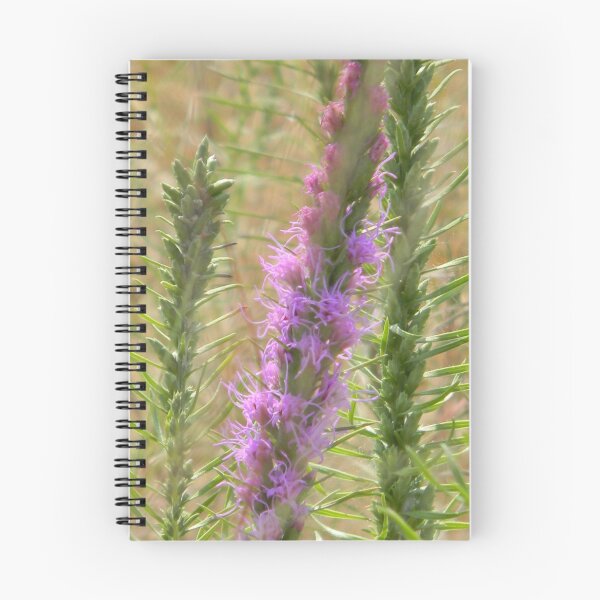 Item preview, Prairie Blazing Star - View Larger designed and sold by Navigator.