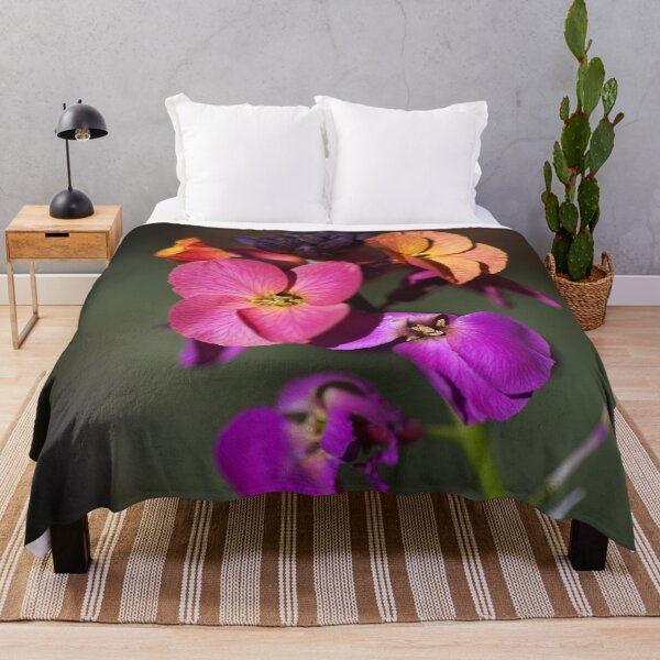 Item preview, Colourful Wallflower designed and sold by Joy Watson - Natural Light Photography .
