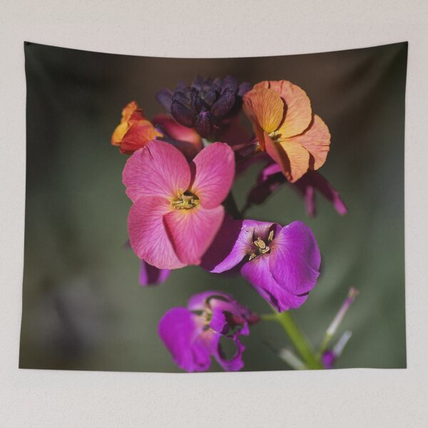 Item preview, Colourful Wallflower designed and sold by Joy Watson - Natural Light Photography .