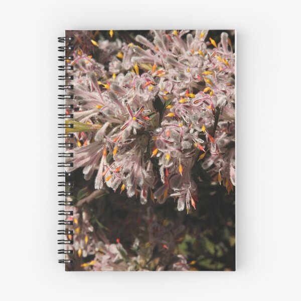 Item preview, The Not So Faraway Garden Series 2 - 100 designed and sold by beeden.