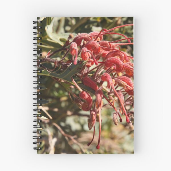 Item preview, The Not So Faraway Garden Series 2 - 109 designed and sold by beeden.