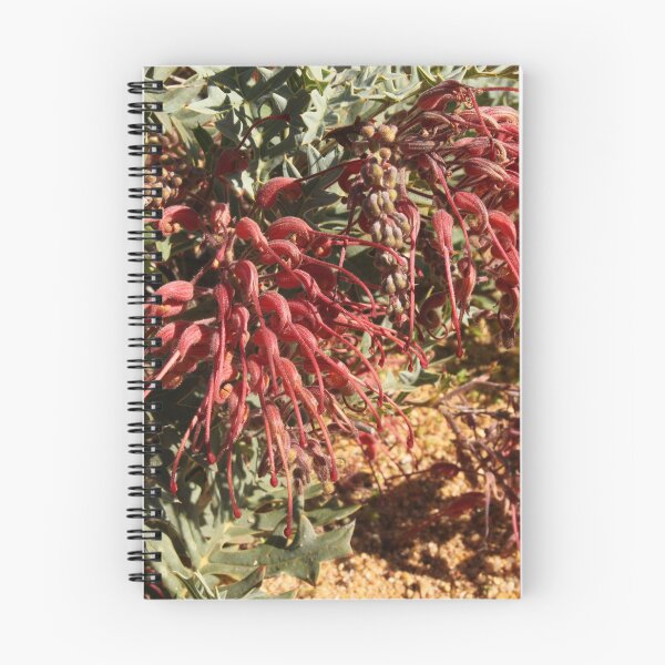 Item preview, The Not So Faraway Garden Series 2 - 110 designed and sold by beeden.