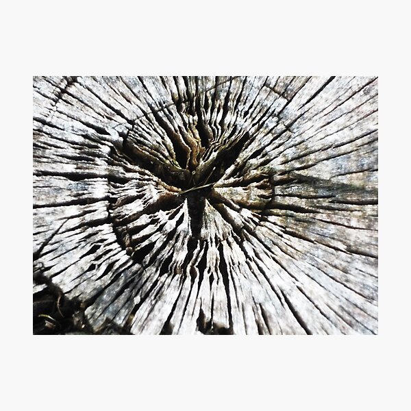 Item preview, Wooden Radiance  designed and sold by Daniela  Chur.