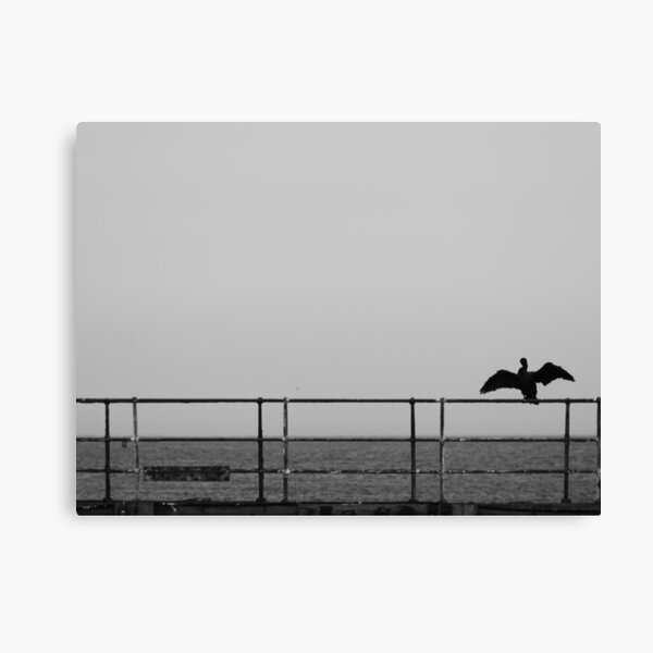 Cormorant Canvas Print