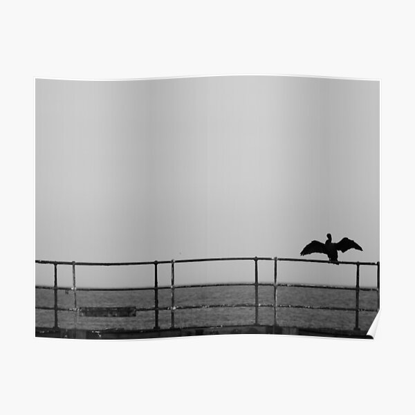 Cormorant Poster