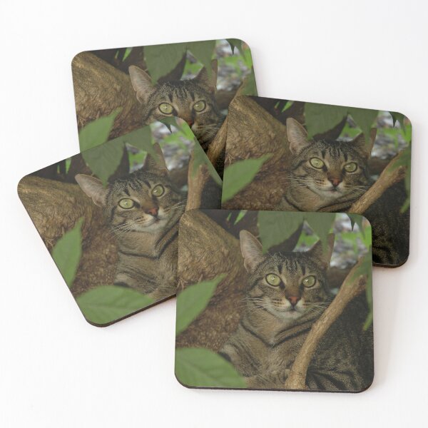 Item preview, Cat in the shade designed and sold by Nerone.