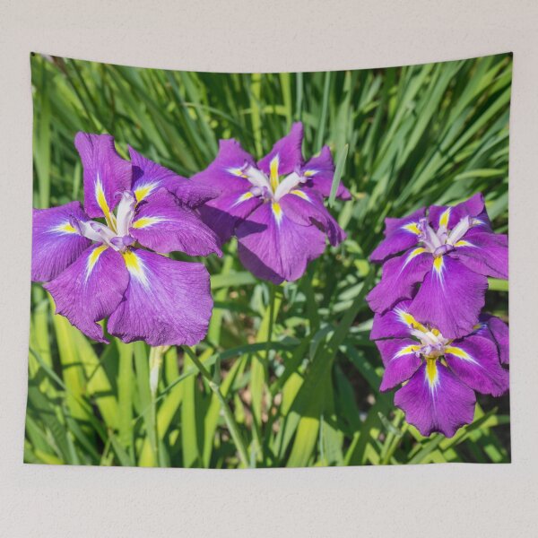 Item preview, Four Electric Purple Beauties - Japanese Irises in Bloom designed and sold by Georgia Mizuleva.