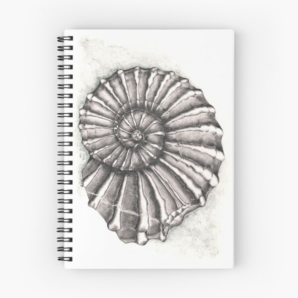 Item preview, Ammonite Fossil designed and sold by Sharlzndollz.