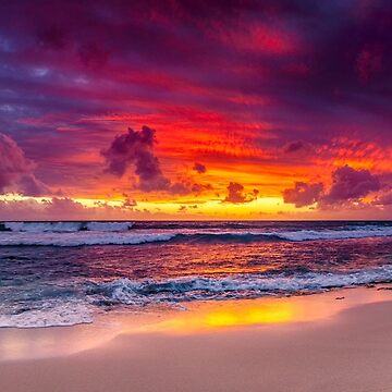 Artwork thumbnail, North Beach Panoramic by paulmp