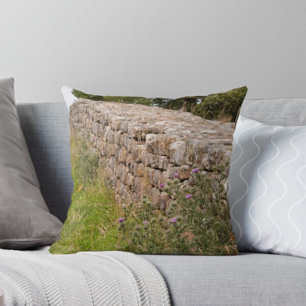 Item preview, Thistles at Hadrians Wall designed and sold by laurawhitaker.