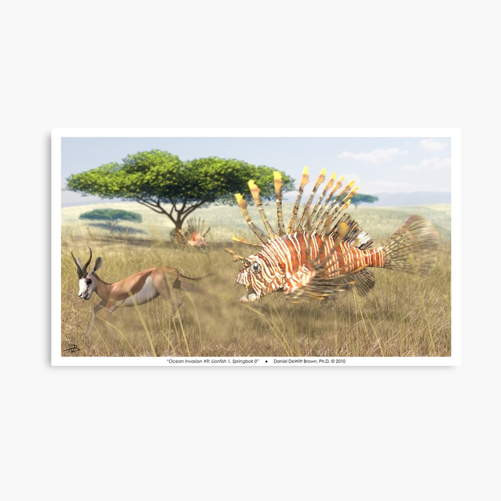 Ocean Invasion #9: Lionfish 1, Springbok 0 Canvas Print