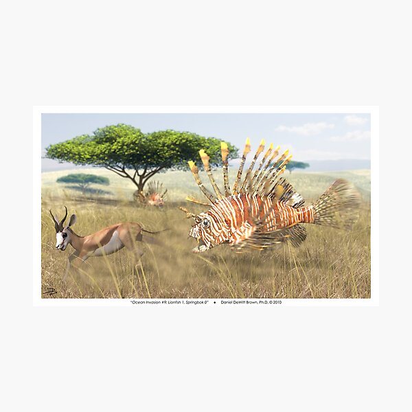 Ocean Invasion #9: Lionfish 1, Springbok 0 Photographic Print