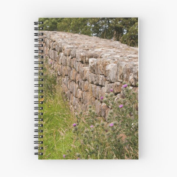 Item preview, Thistles at Hadrians Wall designed and sold by laurawhitaker.