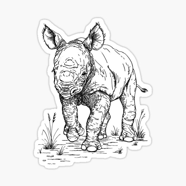 Rhinocéros taureau türaufkleber autocollant wunschname les enfantsName Baby virent Nam... Rhinocéros taureau türaufkleber autocollant wunschname les enfantsName Baby virent Nam...