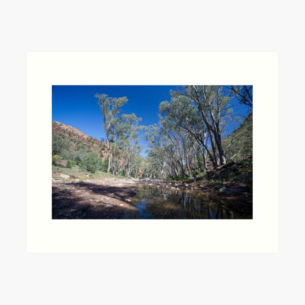 Item preview, Creekbed - Flinders Ranges designed and sold by Michael Selge.