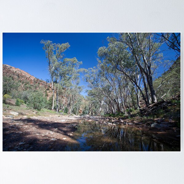 Item preview, Creekbed - Flinders Ranges designed and sold by Michael Selge.