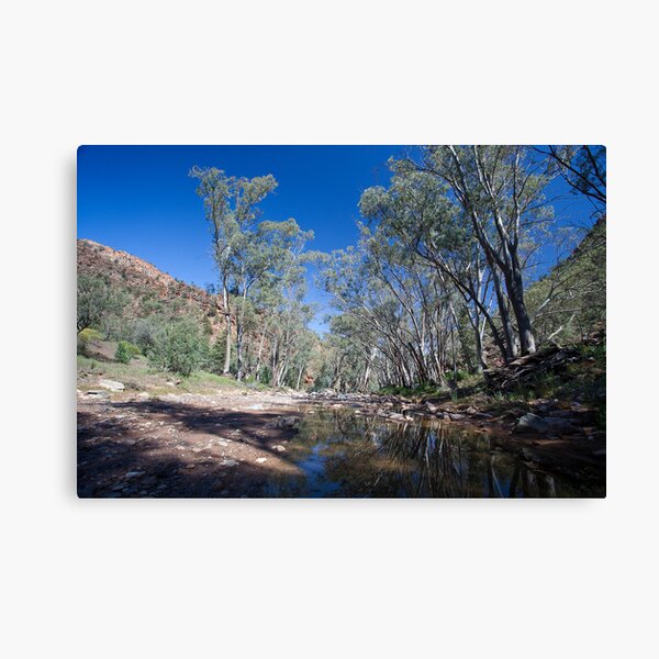 Item preview, Creekbed - Flinders Ranges designed and sold by Michael Selge.