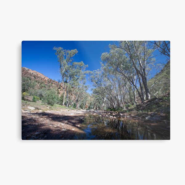 Item preview, Creekbed - Flinders Ranges designed and sold by Michael Selge.