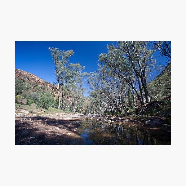 Item preview, Creekbed - Flinders Ranges designed and sold by Michael Selge.