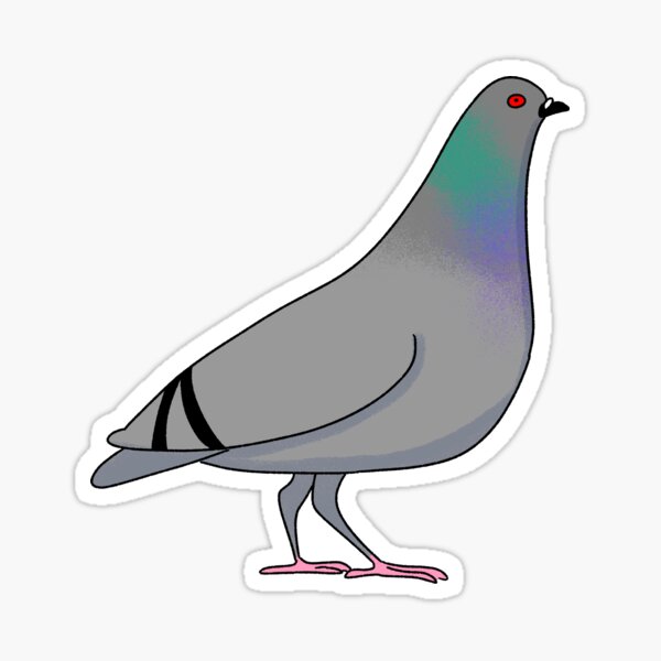 Pigeon time Sticker