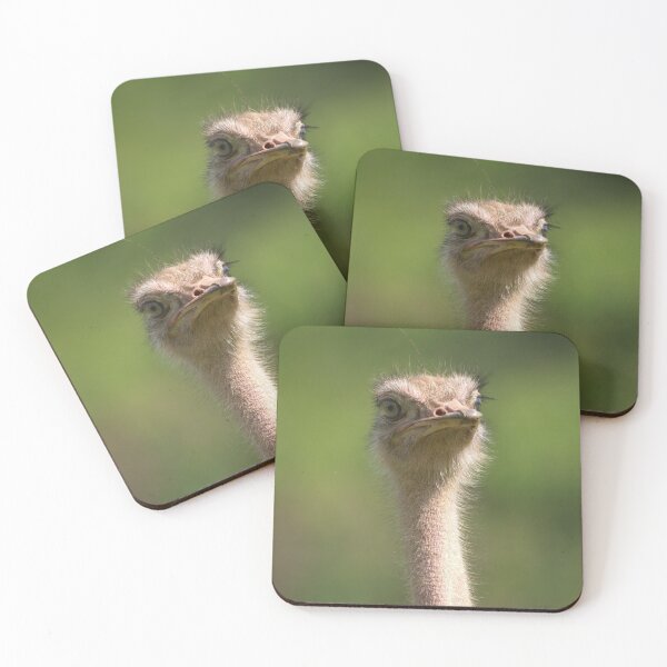 Item preview, North African Ostrich designed and sold by rawshutterbug.