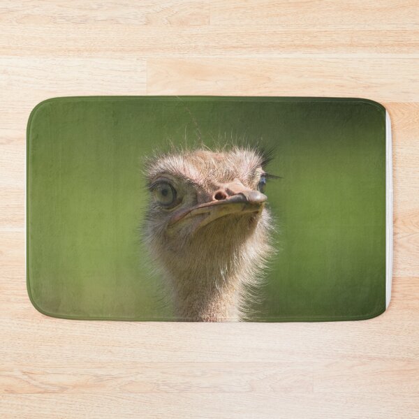 Item preview, North African Ostrich designed and sold by rawshutterbug.