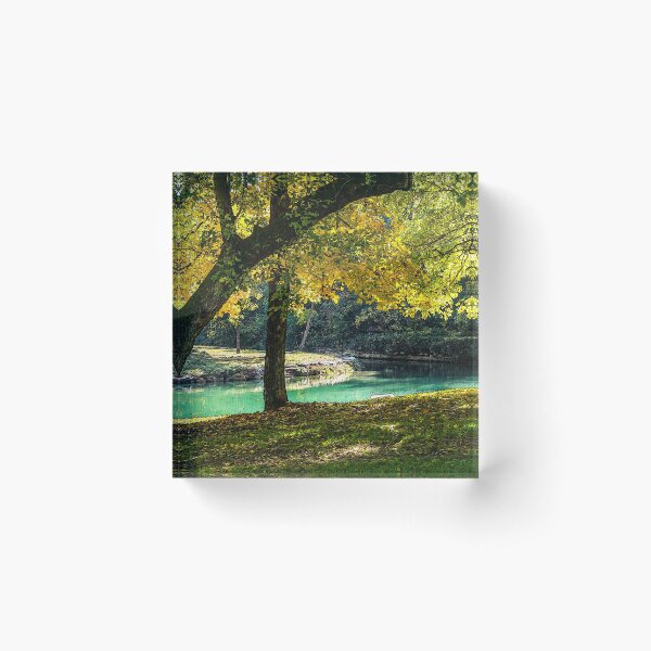 Item preview, A Place Under The Shade Tree designed and sold by mljdwhite.
