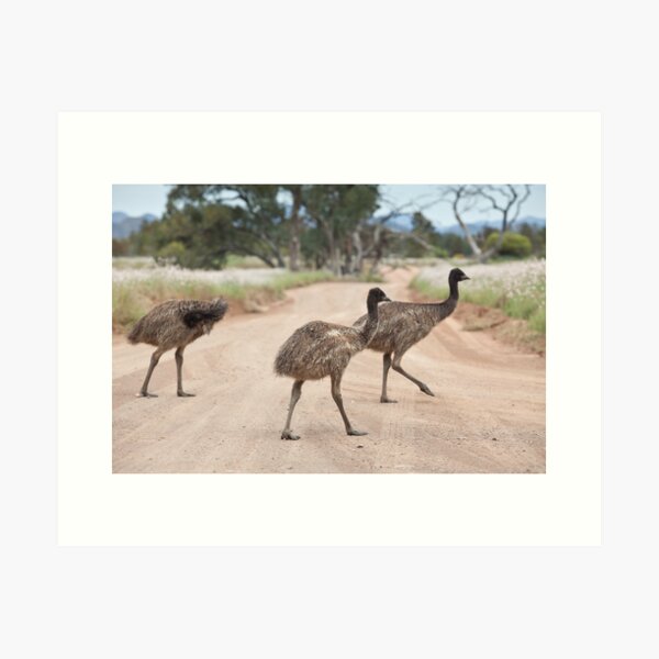 Item preview, Excuse us whilst we cross the road designed and sold by Michael Selge.