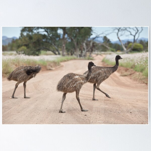 Item preview, Excuse us whilst we cross the road designed and sold by Michael Selge.