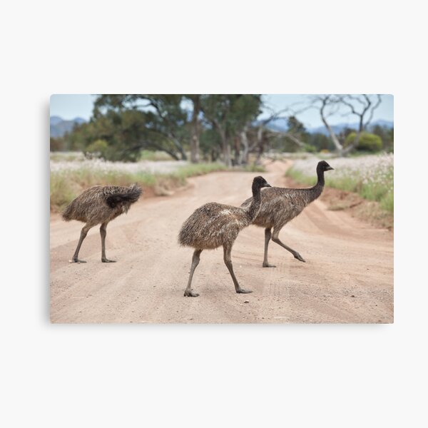 Item preview, Excuse us whilst we cross the road designed and sold by Michael Selge.