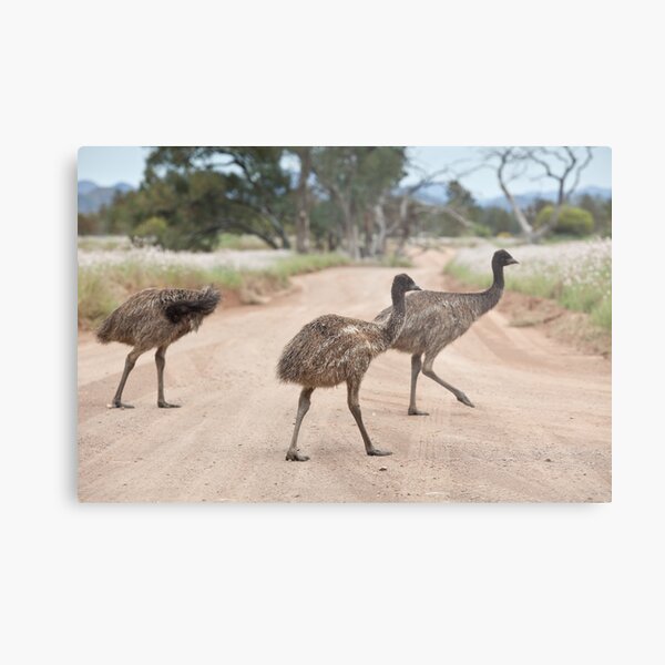 Item preview, Excuse us whilst we cross the road designed and sold by Michael Selge.