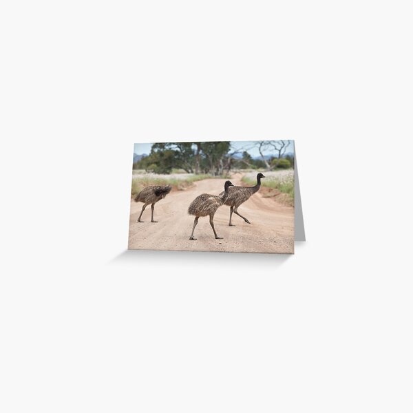 Item preview, Excuse us whilst we cross the road designed and sold by Michael Selge.