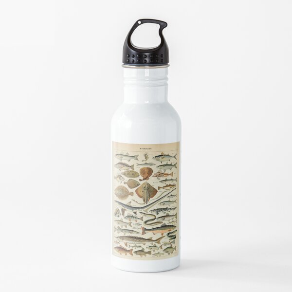 Fish Water Bottle