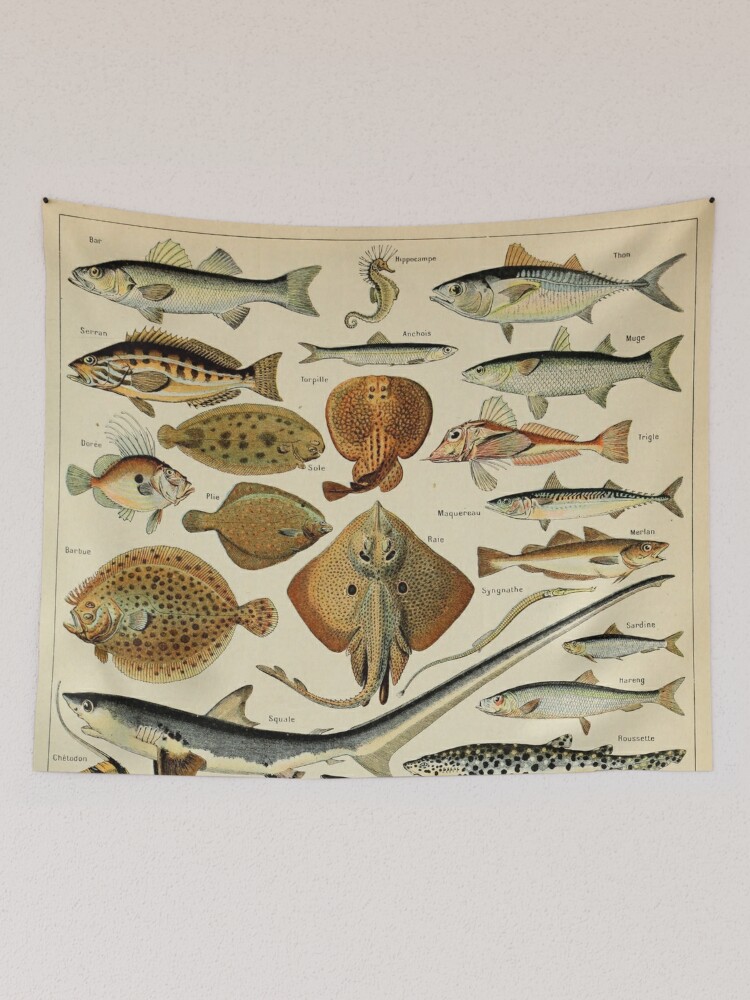Fish | Tapestry