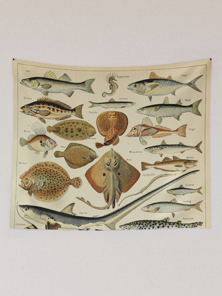 Fish tapestry 2025