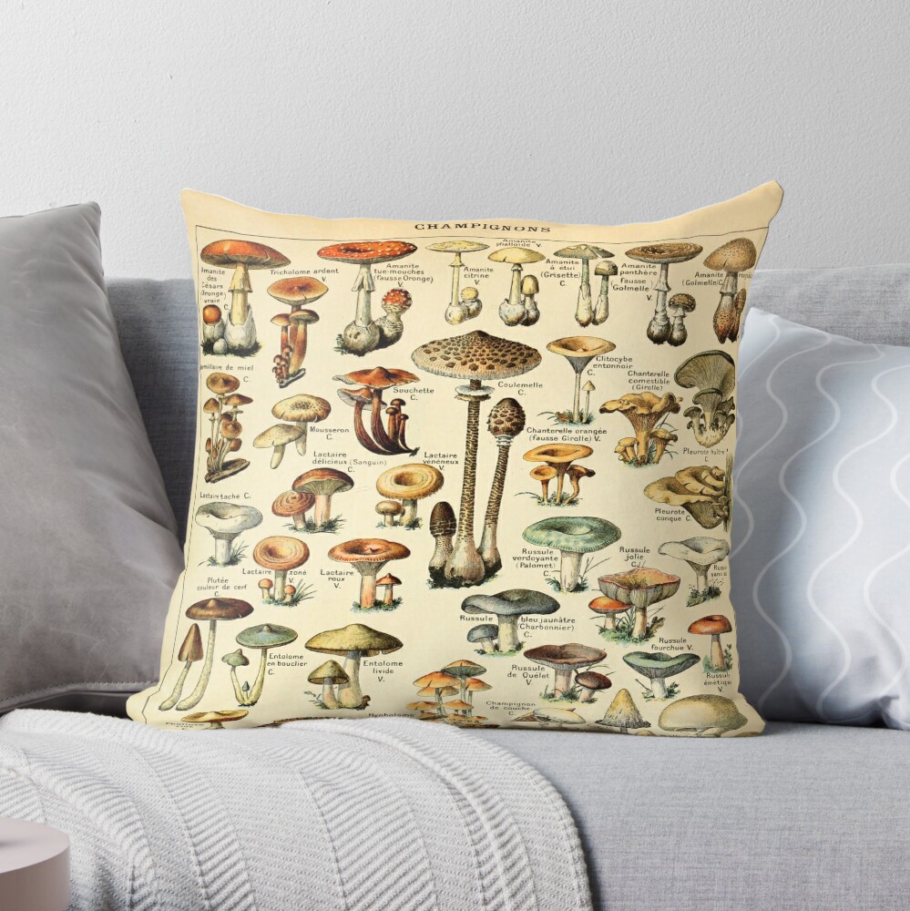 https://ih1.redbubble.net/image.910356448.8304/throwpillow,medium,1000x-bg,f8f8f8-c,0,200,1000,1000.u2.jpg