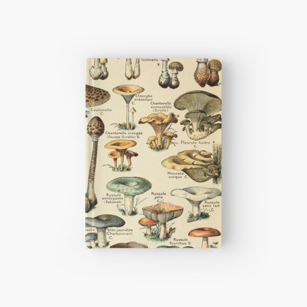 Mushrooms Hardcover Journal